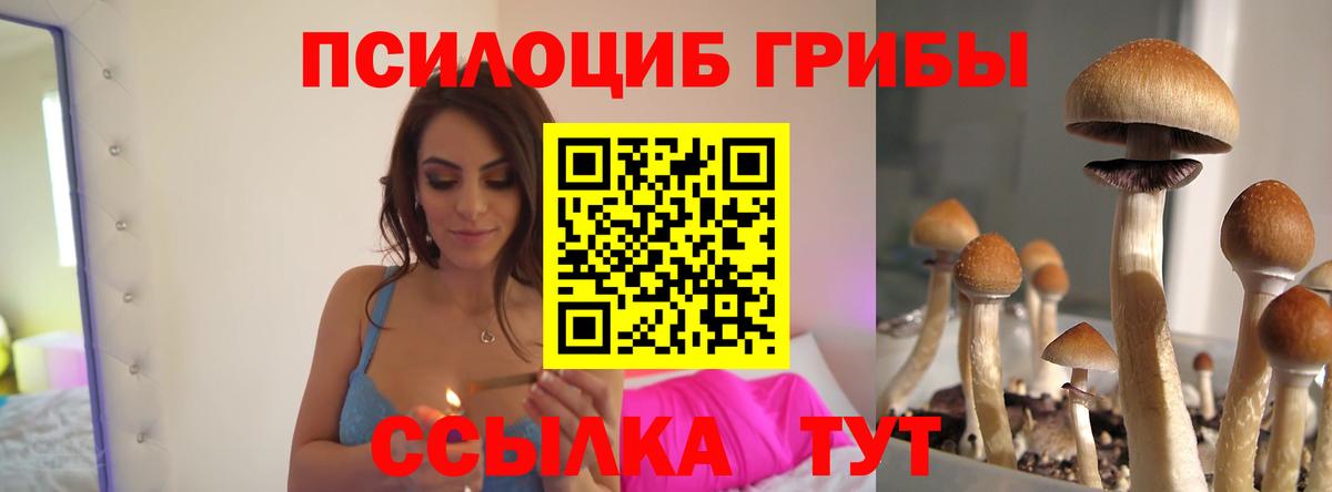 Галлюциногенные грибы Psilocybine cubensis  Галлюциногенные грибы MAGIC MUSHROOMS  Вход с VPN  Великий Новгород 